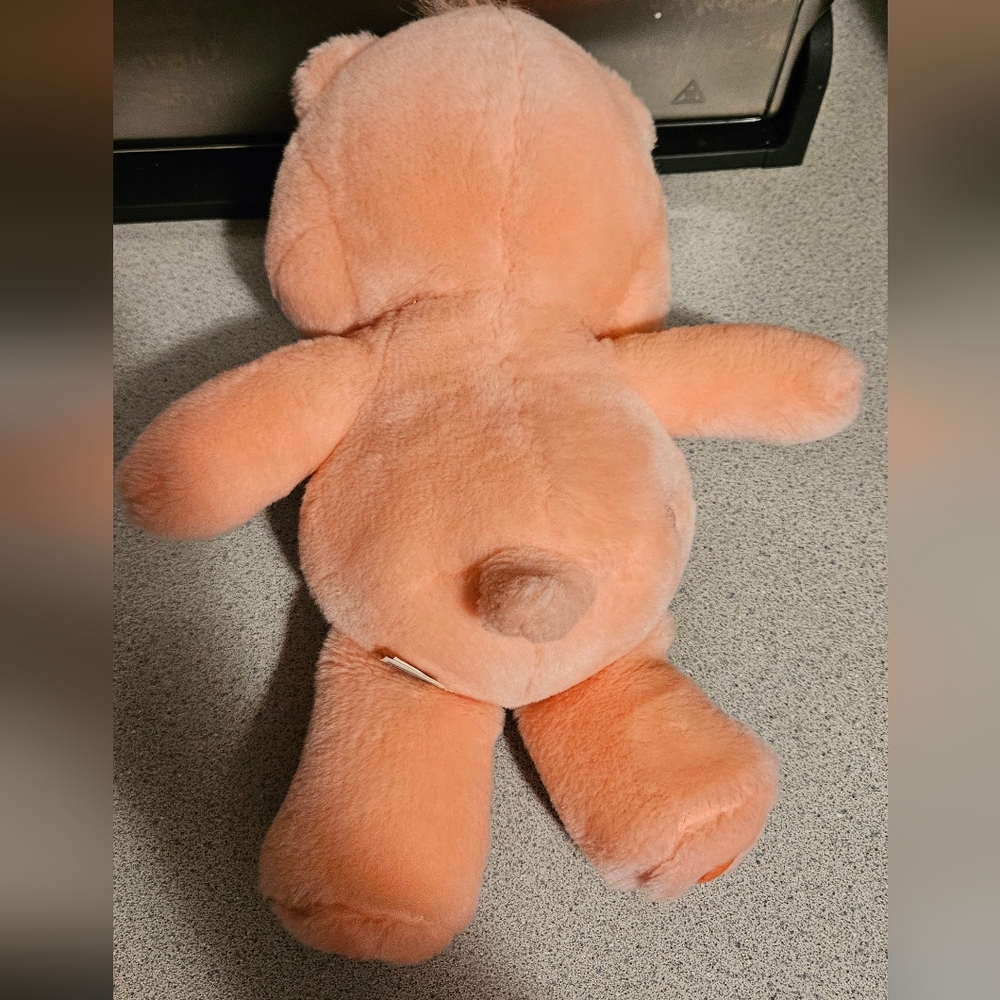 Vintage 2002 Cheer Care Bear Pink and White Stuffed Animal Plush - Picture 2 of 4